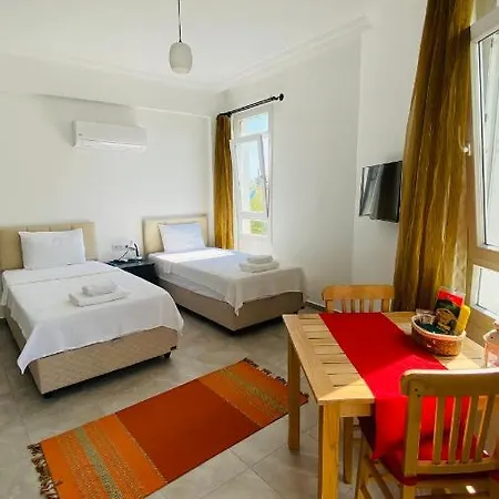 Apartment Merkezde Konforlu Apart-1 The Rush-1 *